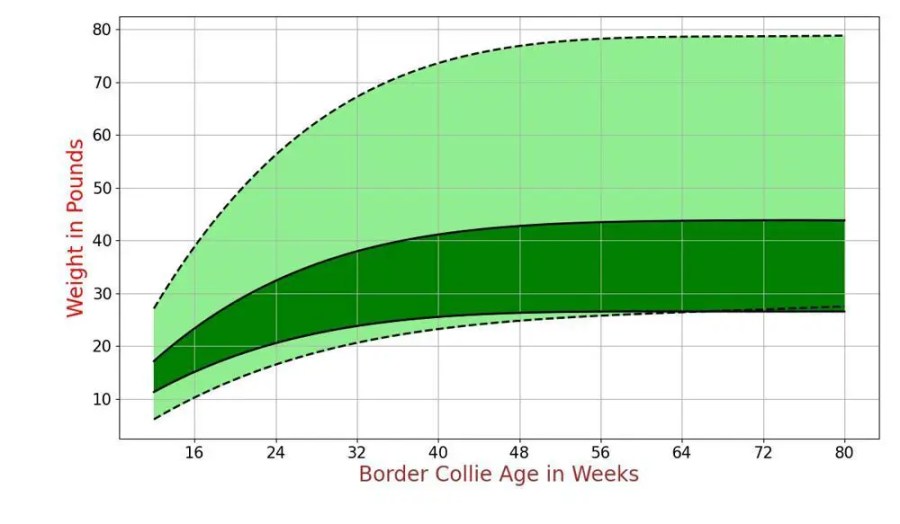 Border Collie Growth Chart. Border Collie Weight Calculator
