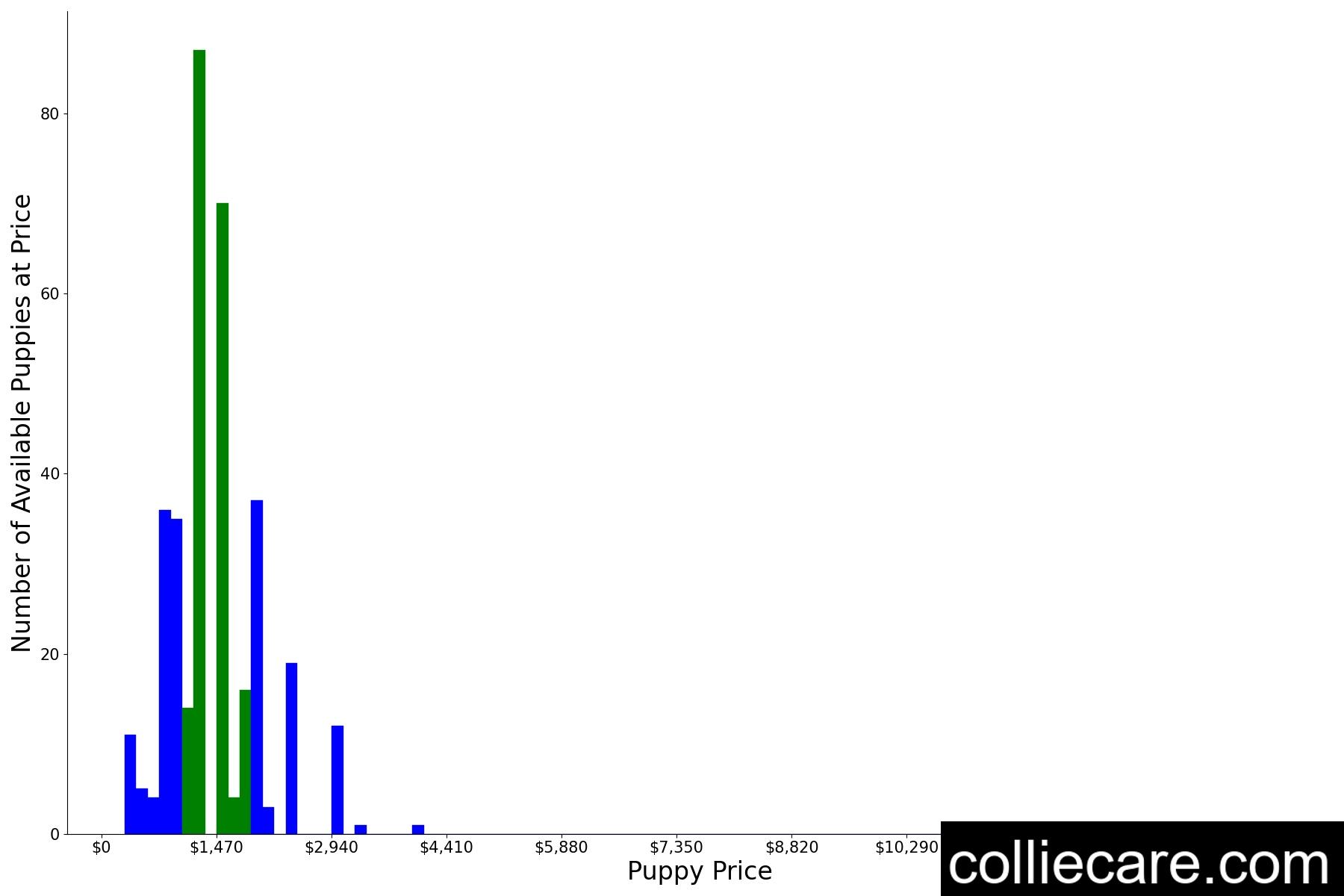 Collie Puppy Price. How Much You Should Pay CollieCare